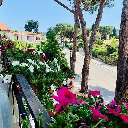 Elba מרינה די קמפו