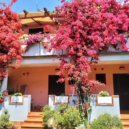 Otel Elba Marina di Campo