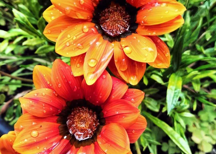 Elba Marina di Campo