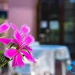 Hotel Elba Marina di Campo